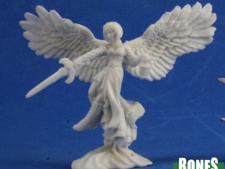 Angel of Shadows For Discount