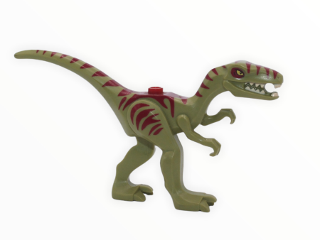 Coelophysis   Gallimimus (olive green with dark red stripes) Online