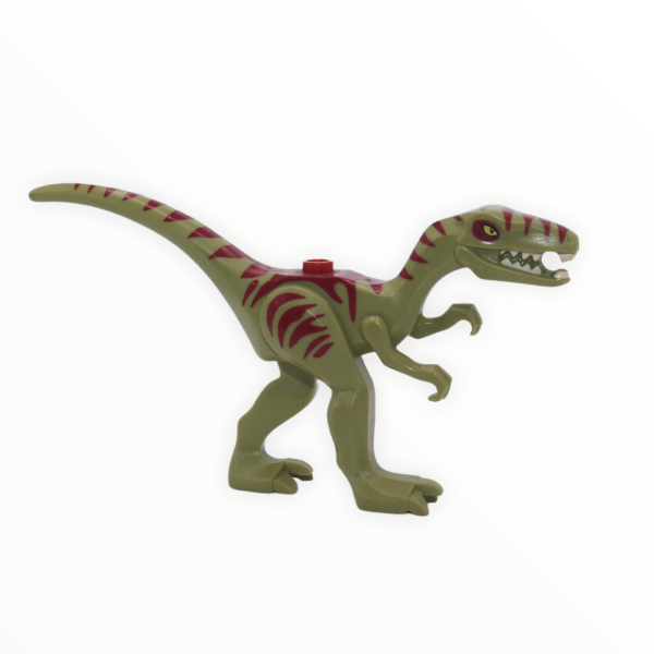 Coelophysis   Gallimimus (olive green with dark red stripes) Online