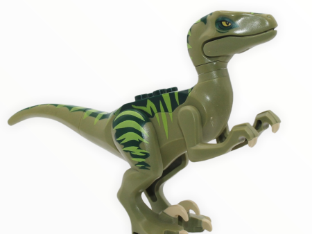 Olive Green Velociraptor (dark green back, lime markings) Online Hot Sale