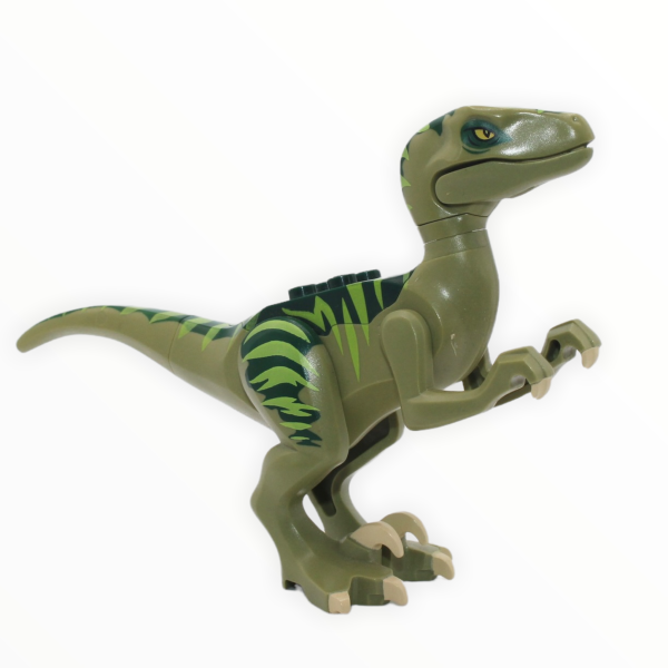 Olive Green Velociraptor (dark green back, lime markings) Online Hot Sale