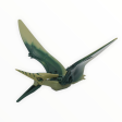 Olive Green Pteranodon (dark green back) Online Hot Sale