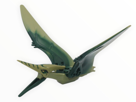 Olive Green Pteranodon (dark green back) Online Hot Sale